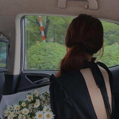真爱骗子小娇妻